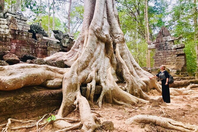 1-Day Angkor Wat Cycling Tour: Scenic Bike Adventure in Siem Reap - Ta Prohm and the famous jungle setting