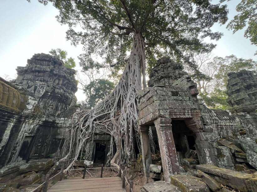 1-Day Angkor Wat Private Tour with Spanish Tour Guide. - 4:00 PM and the optional sunset stop