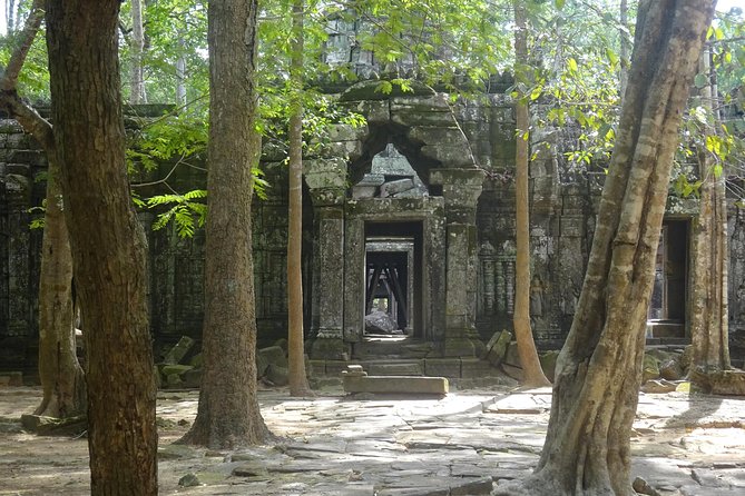 1-Day Angkor Wat Sunrise & All Interesting Temples Private Tour - Ta Prohm and Ta Nei: famous roots, quieter stone