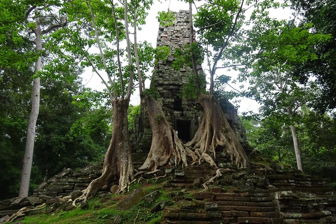 1-Day Angkor Wat Sunrise & All Interesting Temples Private Tour - The Elephant and Leper King terraces