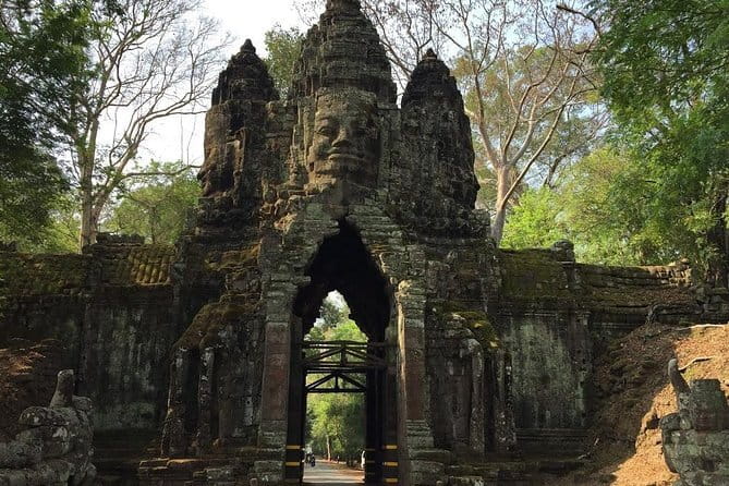 1 Day Angkor Wat with Sunrise Tour - Ta Prohm and the trees over stone