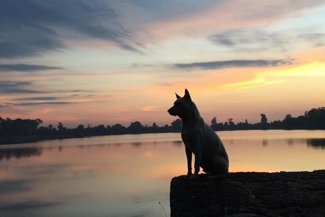 1 Day Angkor Wat with Sunrise Tour - Angkor Thom South Gate and the stone faces