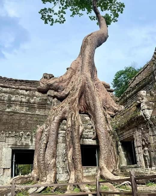 1-Day Trip to Angkor Wat with a Private or Shared Guide in Spanish - Key points at a glance