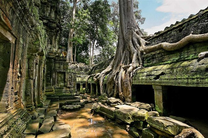 1day private tour all main temple in Angkor,sunset at TonleSap floating village - Starting at Angkor Wat with a private guide