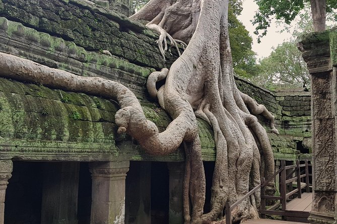 1day Private tour, Angkor sunrise,all main temples, Banteay srei - Is $148.72 good value for a private group?