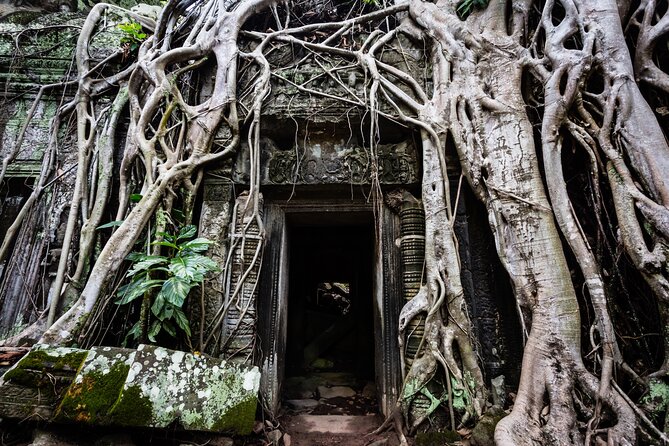 2-Day : Angkor Sunrise, Kompong Phluk Sunset & Banteay Srei Tour - Guides, vehicles, and small-group comfort