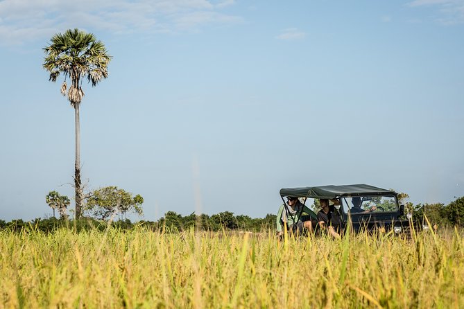 2-Day : Angkor Sunrise, Kompong Phluk Sunset & Banteay Srei Tour - Srah Srang and a set-menu breakfast