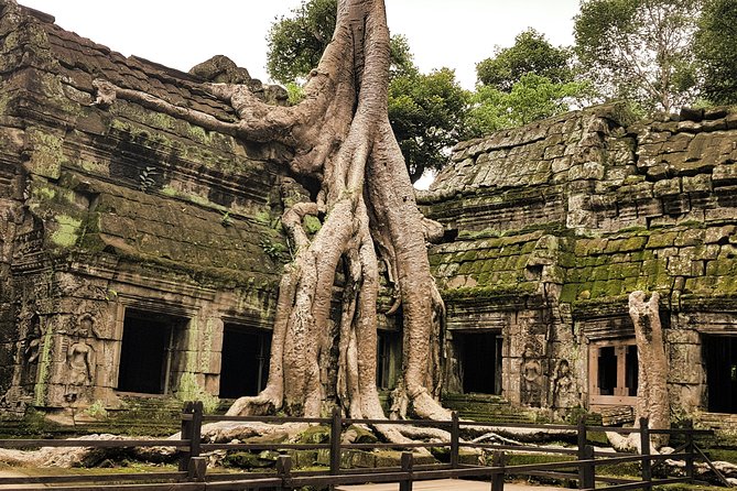 2-Days Private Tour in Angkor Sunrise, Banteay Srei and Beng Mealea Temple - Banteay Srei and Cambodia’s finest carving