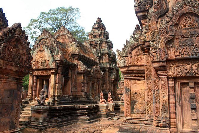 3-D Angkor Temples With One Sunrise - Day one: Ta Prohm, Pre Rup, and the Banteay temples