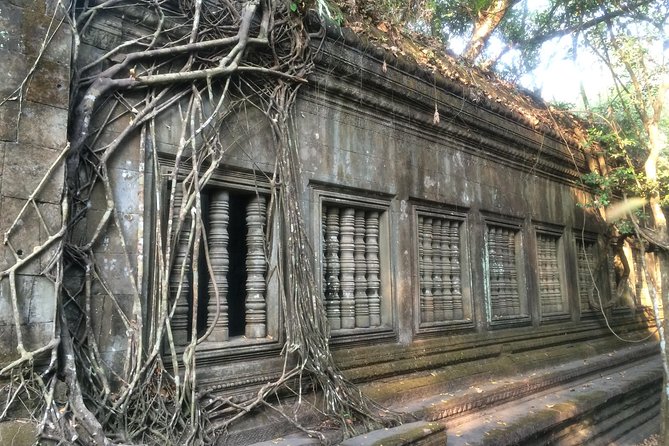 A Day Angkor Wat Sunrise Tour, Ta Prohm & Hidden Gems Beng Mealea - Ta Prohm and the Tomb Raider effect