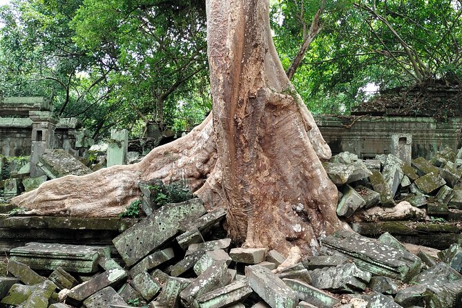 A Day Angkor Wat Sunrise Tour, Ta Prohm & Hidden Gems Beng Mealea - What the $155 group price really means