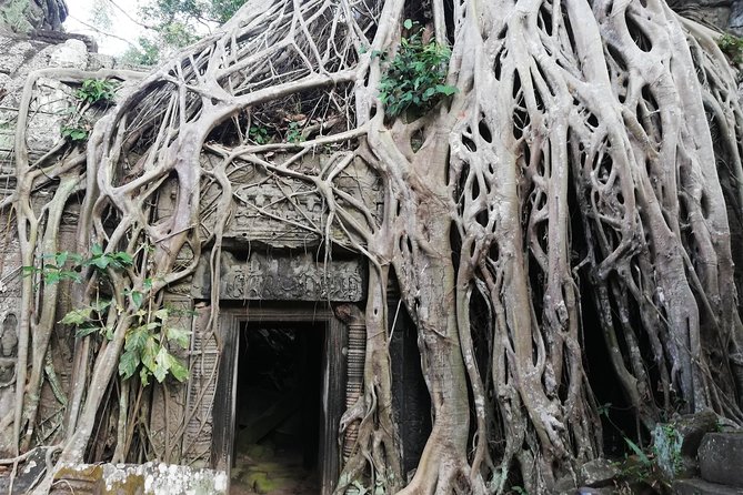 Afternoon Angkor Wat Private Tour with Sunset - Who should book this private tour