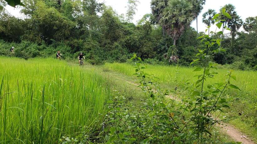 Angkor Jungle Biking Adventure Private Cycling Tour - Who should book this Angkor bike tour?