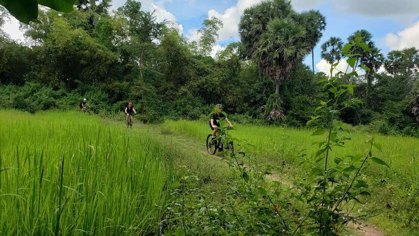 Angkor Jungle Biking Adventure Private Cycling Tour - Ta Prohm brings the day’s famous jungle setting