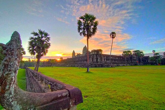 Angkor Sunrise Bike Tour - Breakfast & Lunch included - Ta Prohm and the trees over the ruins