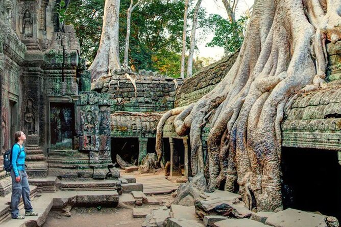 Angkor Sunrise Small Group Tour Inclusive Breakfast and lunch - Meals, transport, and the real price