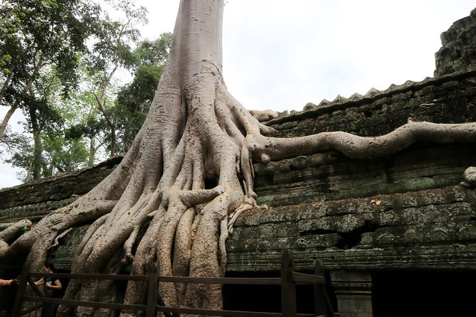 Angkor Temples Private Full-Day Tour from Siem Reap (Free Child) - Guide quality and the value of personal attention