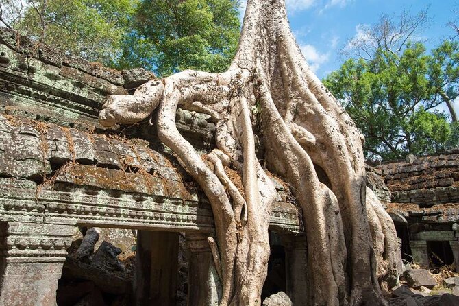 Angkor Thom Ta Prohm and Sunset in Angkor Wat Golden Hour Tour - Who should book this Angkor sunset tour?