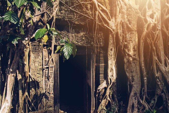 Angkor Thom Ta Prohm and Sunset in Angkor Wat Golden Hour Tour - Angkor Thom, stone faces and royal ceremony