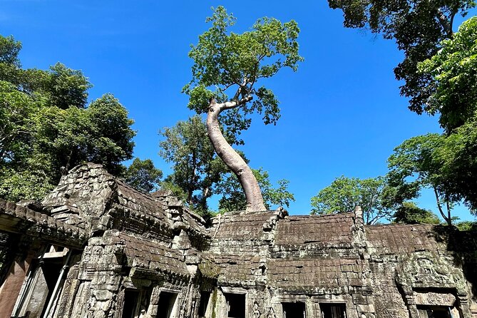 Angkor Wat 1-Day Tour by Private Car or Minivan - Is $135 a good price?