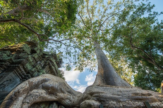 Angkor wat and Small group temples Full day tours - Why this route works for a first visit
