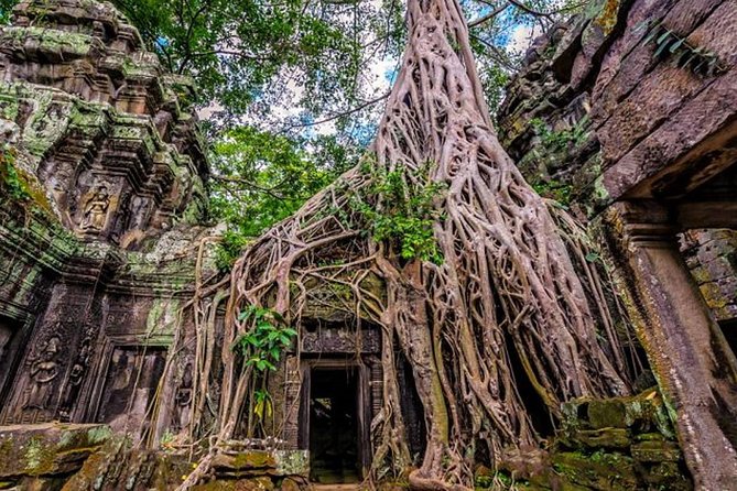 Angkor wat and Small group temples Full day tours - The terraces and the work of seeing details