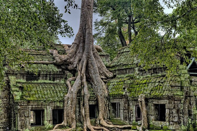 Angkor Wat, Angkor Thom & Elephant Terrace Half-Day Tours - Why this half-day temple tour works
