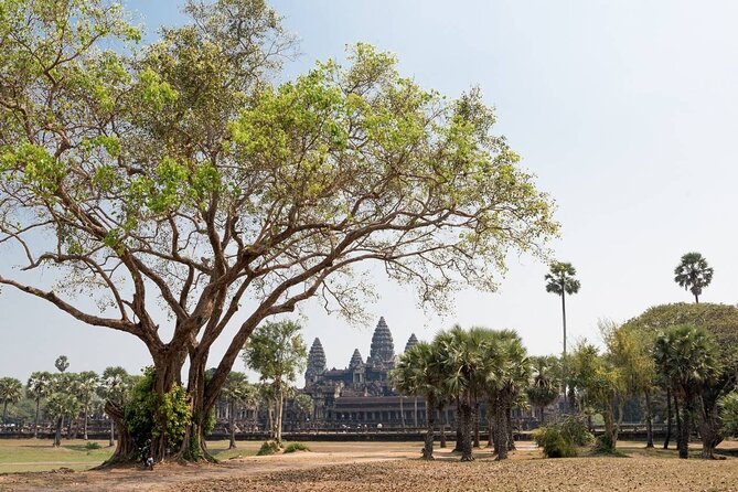 Angkor Wat, Angkor Thom & Elephant Terrace Half-Day Tours - Bayon Temple and its stone faces