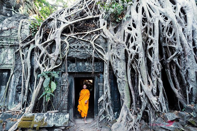 Angkor Wat & Banteay Srey Tour - Ta Prohm and the power of the trees