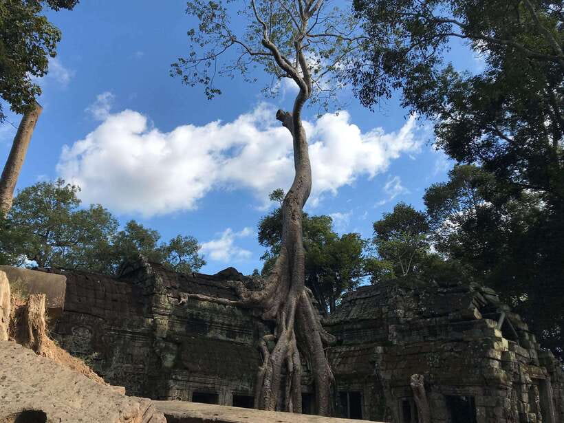 Angkor Wat by Vintage Jeep – Private Tour (Optional Sunrise) - Angkor Wat: allow time for the details
