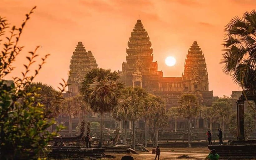 Angkor Wat: Full-Day Guided Sunset Tour - Ta Prohm delivers the jungle scenery