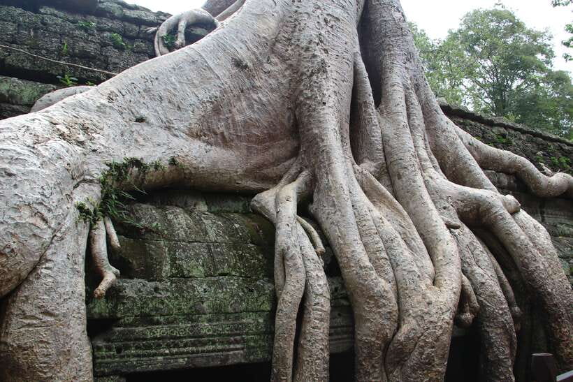 Angkor Wat Full-Day Private Tour with Sunset - What the $107 price really covers