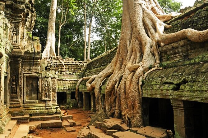 Angkor Wat full Day 'Small Group with sunset & Tour Guide - Angkor Thom and the Bayon area