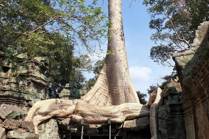 Angkor Wat Full Day Tour in Siem Reap Small-Group - Angkor Thom’s south gate gives you a strong entrance