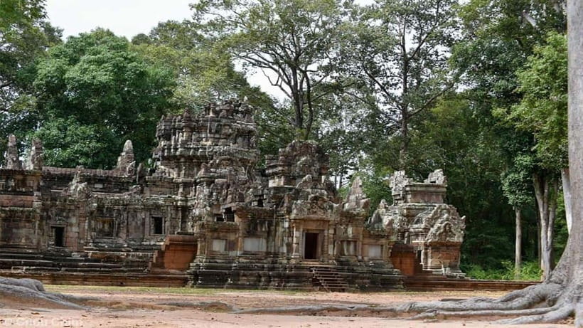 Angkor Wat Guided Sunrise Tour - Ta Prohm, roots over stone