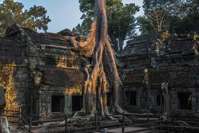 Angkor Wat highlight Tour From Sunrise -Small Group - Bayon’s central towers and the heart of Angkor Thom