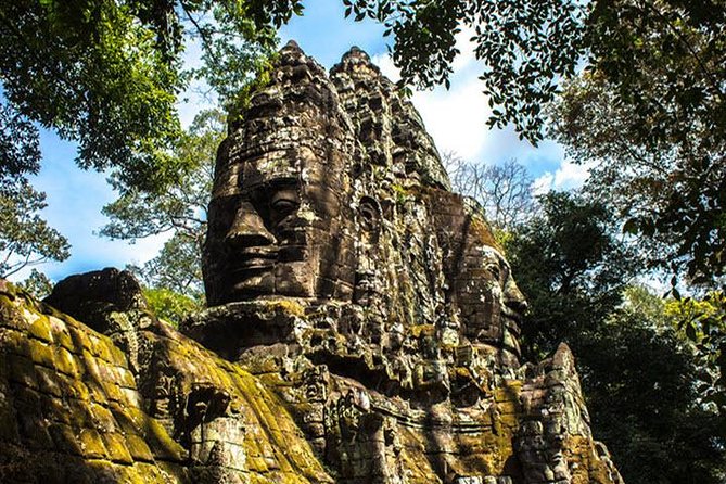 Angkor Wat highlight Tour From Sunrise -Small Group - Ta Prohm, where the jungle takes over