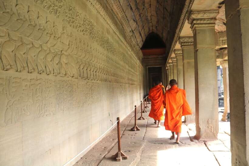 Angkor Wat: Highlights and Sunrise Guided Tour - Ta Prohm and the trees over the stones