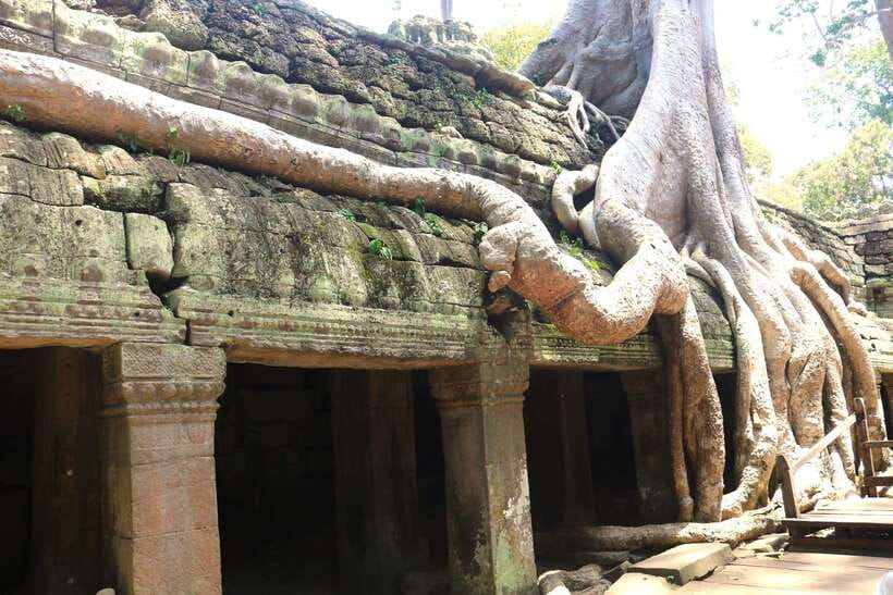 Angkor Wat: Highlights and Sunrise Guided Tour - Heat, clothing, and the early start