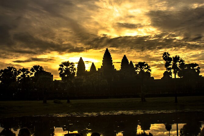 Angkor Wat Highlights and Sunrise Guided Tour from Siem Reap - Ta Prohm, where trees meet stone