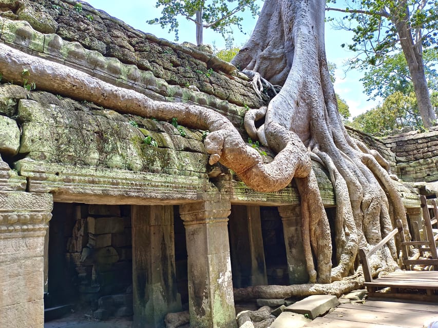 Angkor Wat: Highlights and Sunrise with Spanish Guide - Who will get the most from this tour