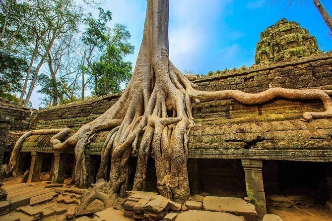 Angkor Wat one Day Private Tour for All Highlight Angkor Temples - Ta Prohm is the day’s great atmosphere stop