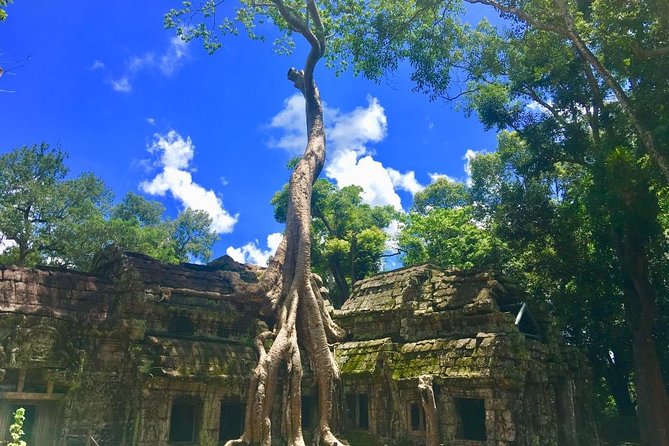 Angkor Wat one Day Private Tour for All Highlight Angkor Temples - Angkor Wat deserves the longest visit