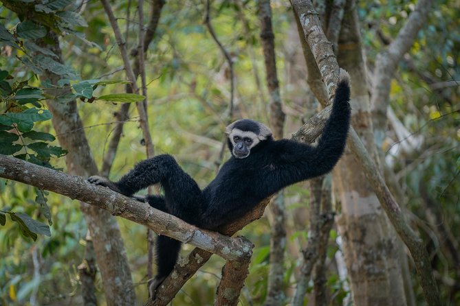 Angkor Wat Park Zip Line Adventure in Siem Reap - What is included and what is not