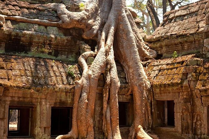 Angkor Wat Private Day Tour - Angkor Wat: three hours and the sunset finish