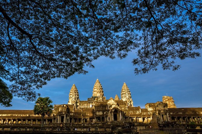 Angkor Wat Private Day Tour from Siem Reap - Ta Prohm: where roots take over the ruins