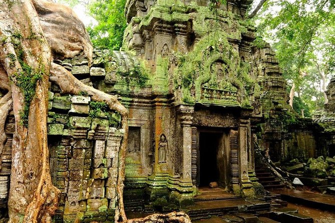 Angkor Wat Private Tour with English Speaking Driver, NO guide - Ta Prohm and the trees over the ruins