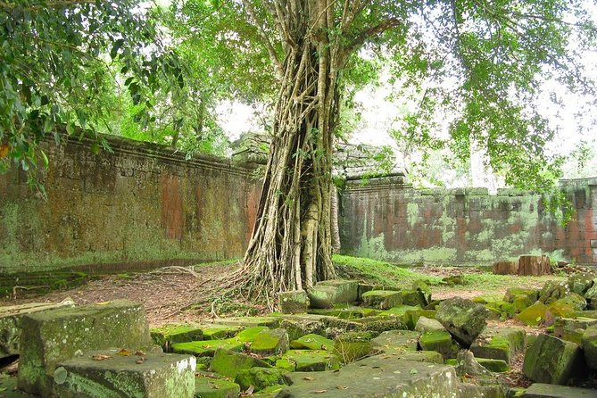 Angkor Wat Private Tour with English Speaking Driver, NO guide - Lunch inside the park and practical planning