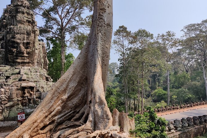 Angkor Wat Private Tuk-Tuk Tour (sunrise Option) & more - Ta Keo, raw stone and a steep climb