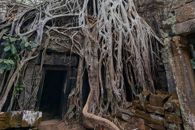 Angkor Wat Private Tuk-Tuk Tour (sunrise Option) & more - Banteay Kdei and a confusing itinerary detail